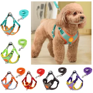 Small Medium Dogs Harness Vest Walking
