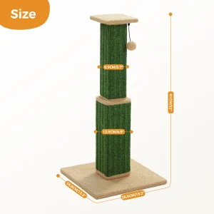 Large Cat Scratching Post for Indoor Cats