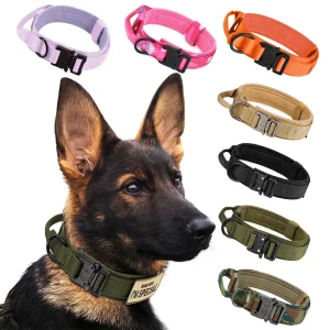 Training Adjustable Tactical Dog Collar And Leash