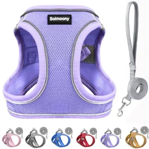 Cute, Soft Puppy-Dog Harness-Vest and Leash Set